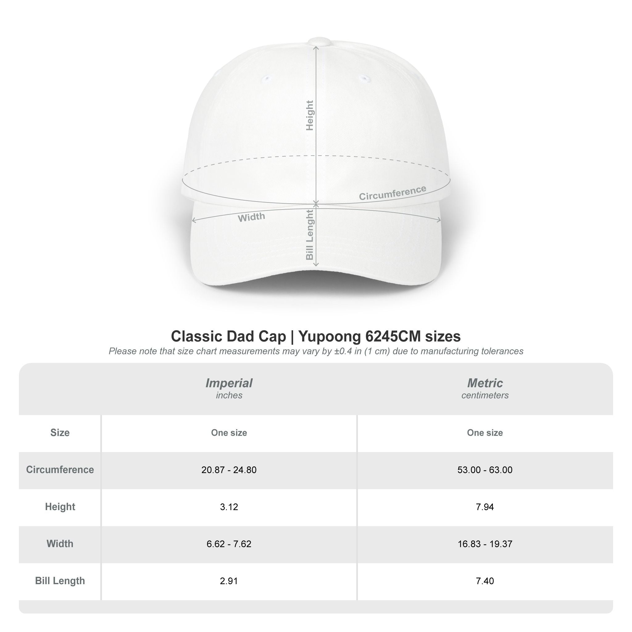 Aries Constellation Dad Cap | Ether2Earth